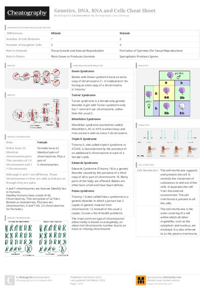 PDF (Colour) — Style 3