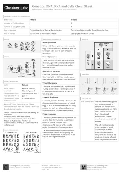 PDF (Black & white) — Style 3