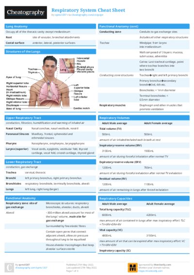 Respiratory System Cheat Sheet