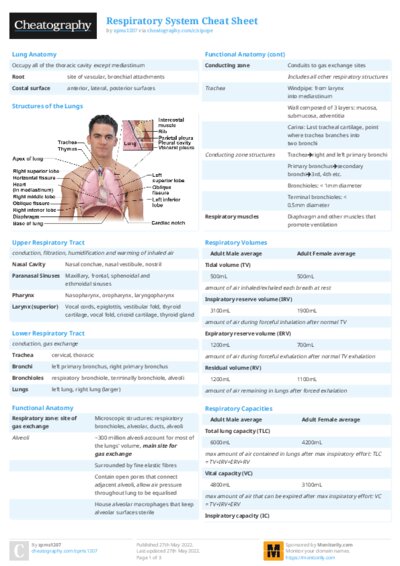 PDF (Colour) — Style 2