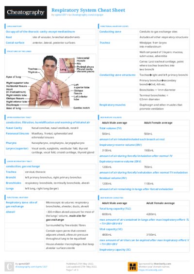 PDF (Colour) — Style 3