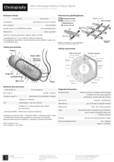 PDF (Black & white) — Style 2