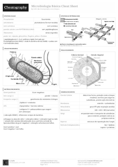 PDF (Black & white) — Style 3